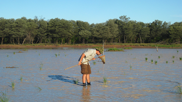 640x361-schwendtner-australien