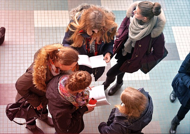Studierende schauen auf Unterlagen