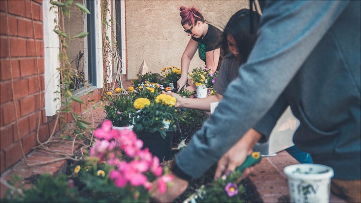 drei Personen pflanzen bunte Blumen in ein Hochbeet vor einer Hauswand aus roten Ziegelsteinen