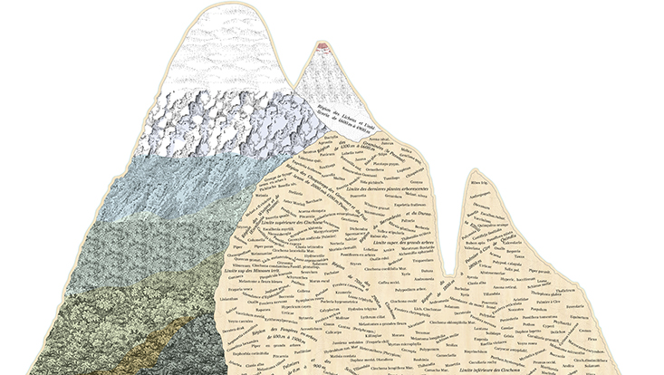 Humboldt Chimborazo