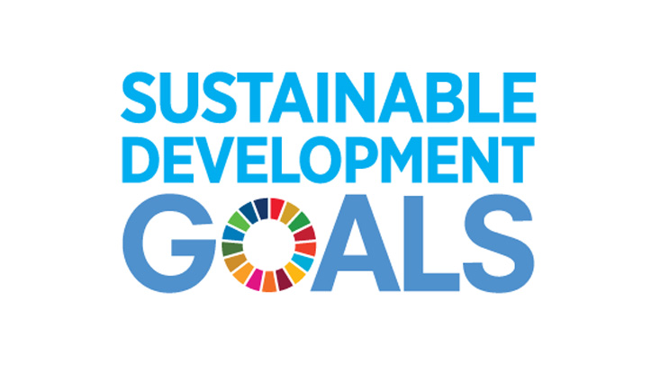 sdg-logo