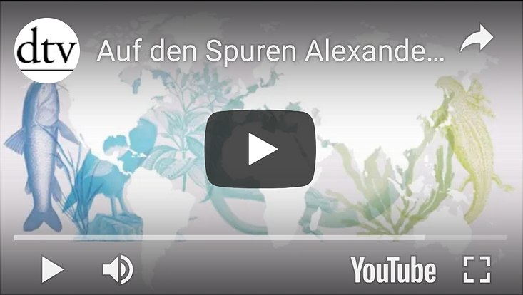 YouTube-Video dtv