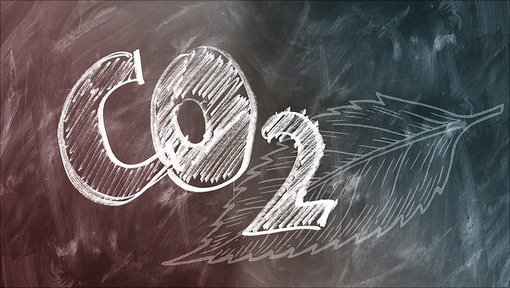 Auf einer Tafel steht mit Kreide "Co2", im Hintergrund ist ein Blatt gemalt.