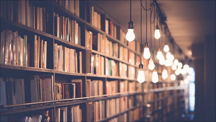 Eine Bücherwand, die von oben von einer Reihe Glühbirnen beleuchtet wird.