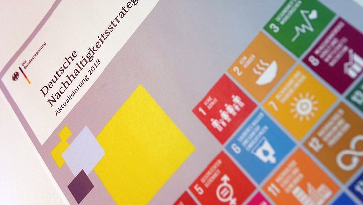 2019-07-11-deutsche-nachhaltigkeitsstrategie-2018-733x414