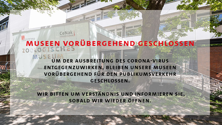 Coronavirus: Museen geschlossen und Veranstaltungen abgesagt