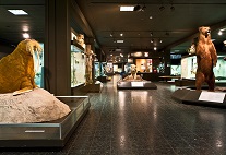 Zoologisches Museum
