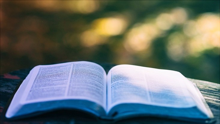 Buch im Grünen